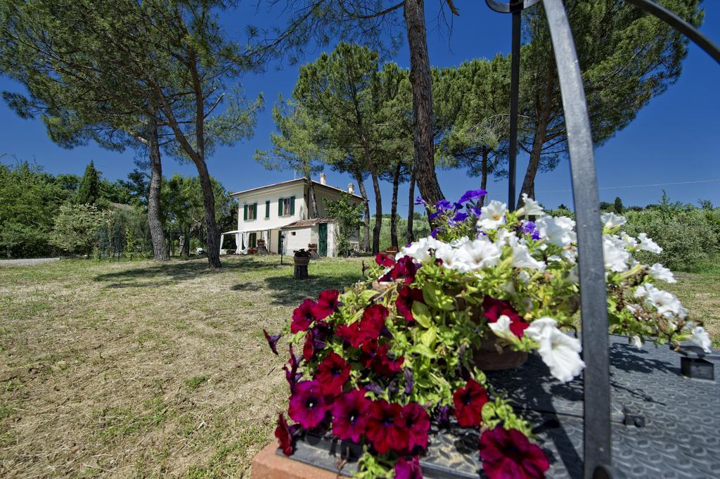 Villa Tancredi Foiano Della Chiana Ngoại thất bức ảnh